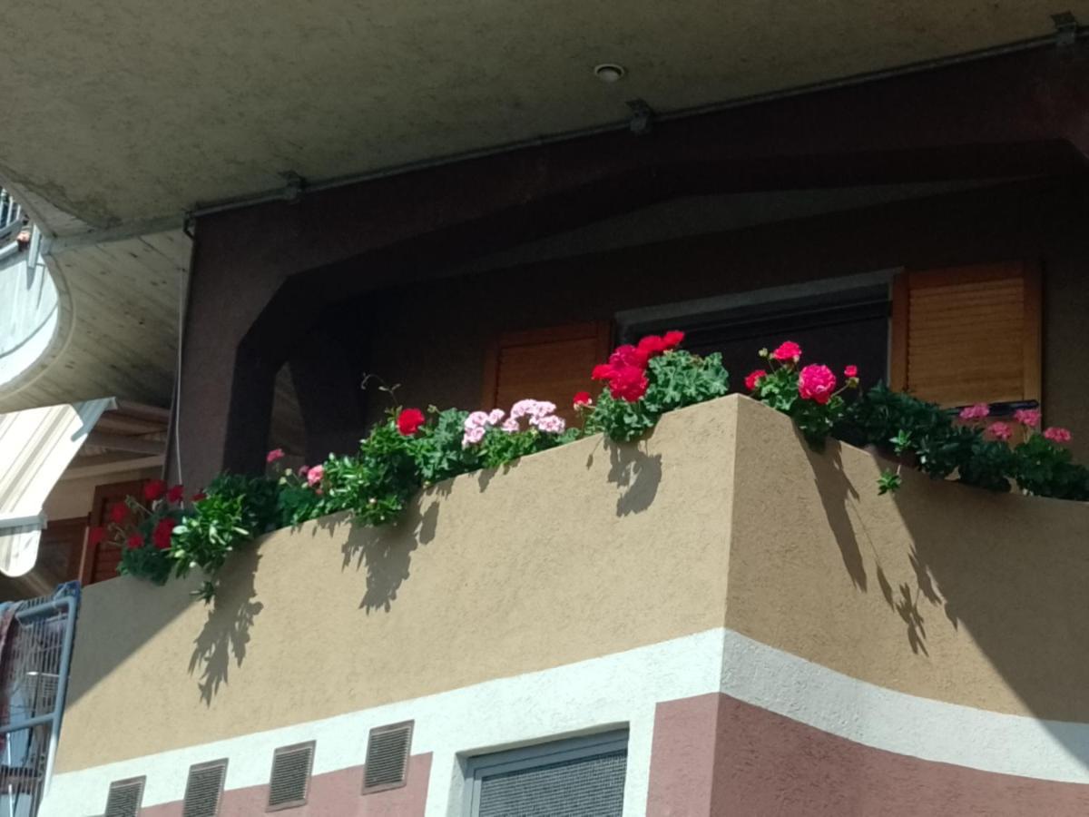 Apartment La Pergola *