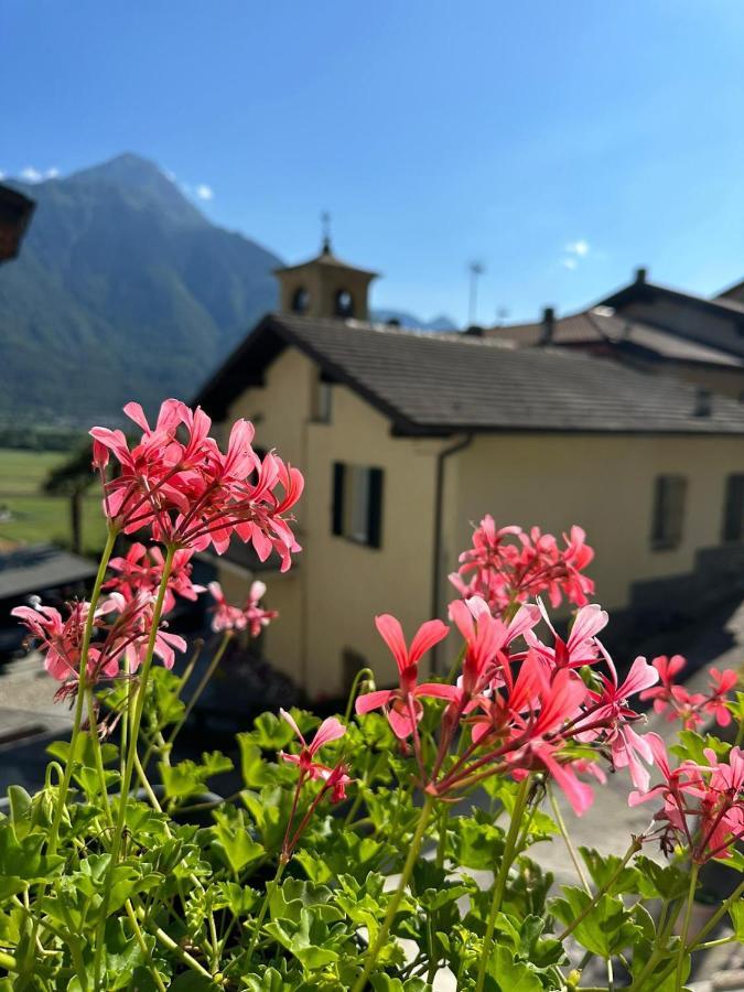 Sotto Al Bosco E Azienda Agricola Bed & Breakfast