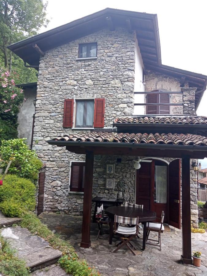 Prima Del Bosco