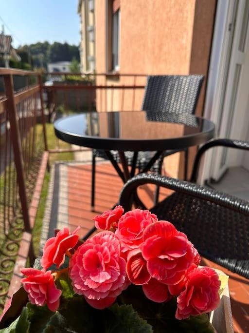 Dolce - Free Parking Apartment *