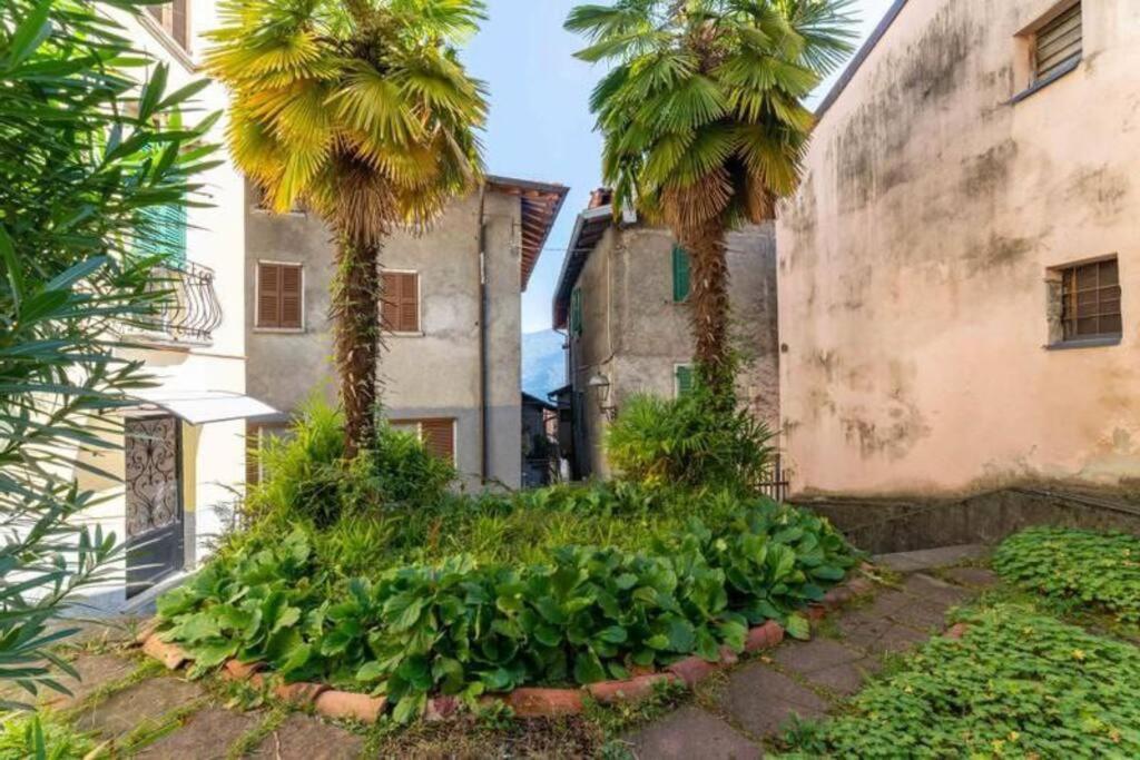Bilocale - Di Apartment *