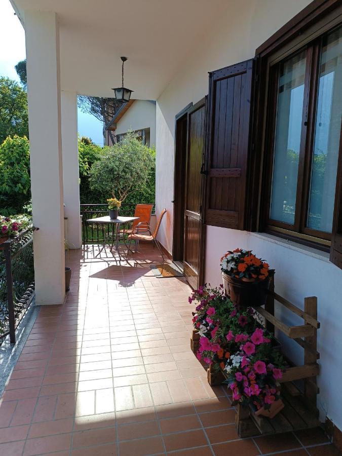 Il Tulipano Bed & Breakfast
