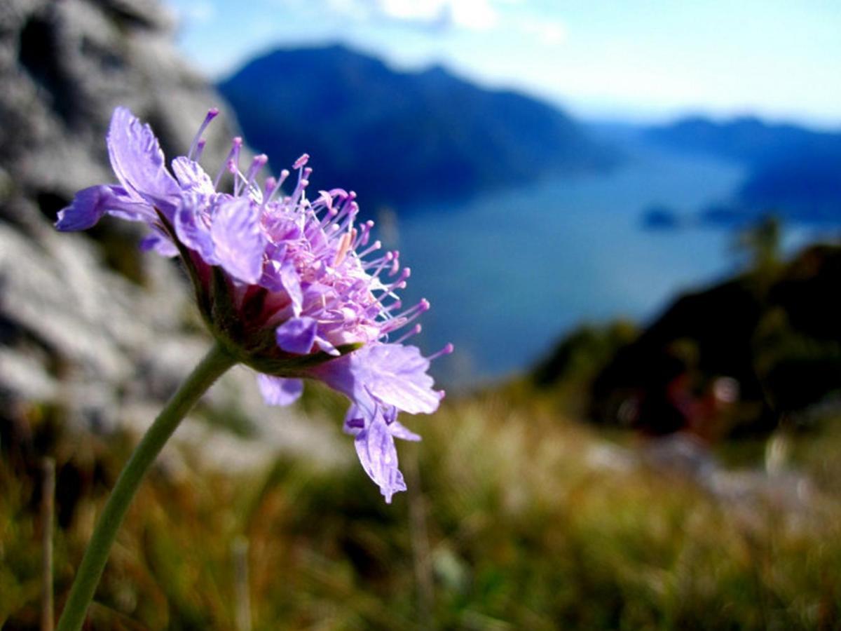 Lakecomo - Ritrovo *