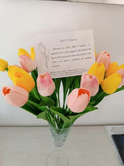 Bed & Breakfast Il Tulipano