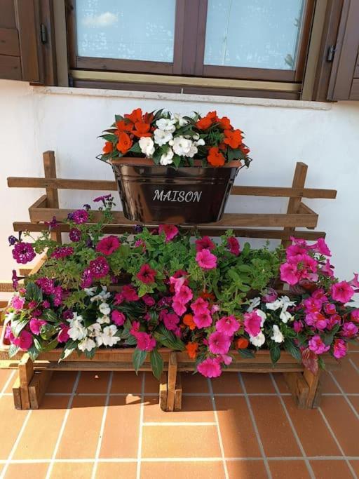 Il Tulipano