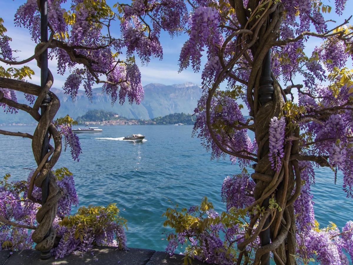 Vista D'oro