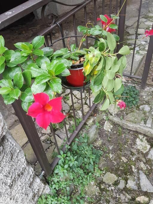 La Corte Della Carla - Cozy In The Old Court Lierna