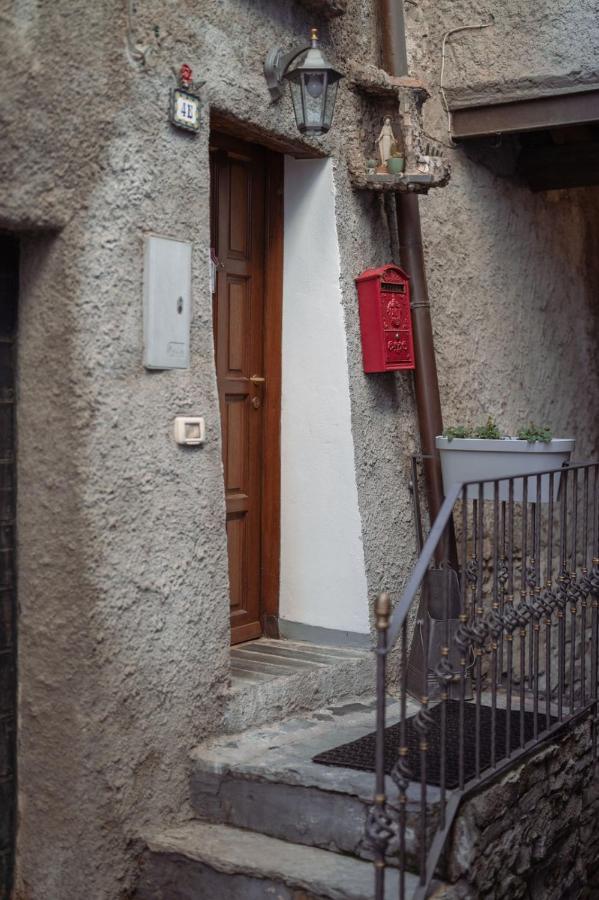 Il Rustico Dn Art Holidays - Tipico