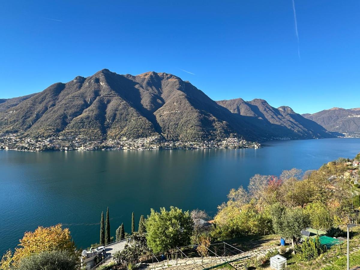 La Casa Del Mastro - * Pognana Lario