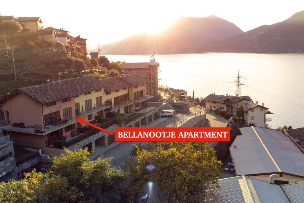 Bellanootje By Design *