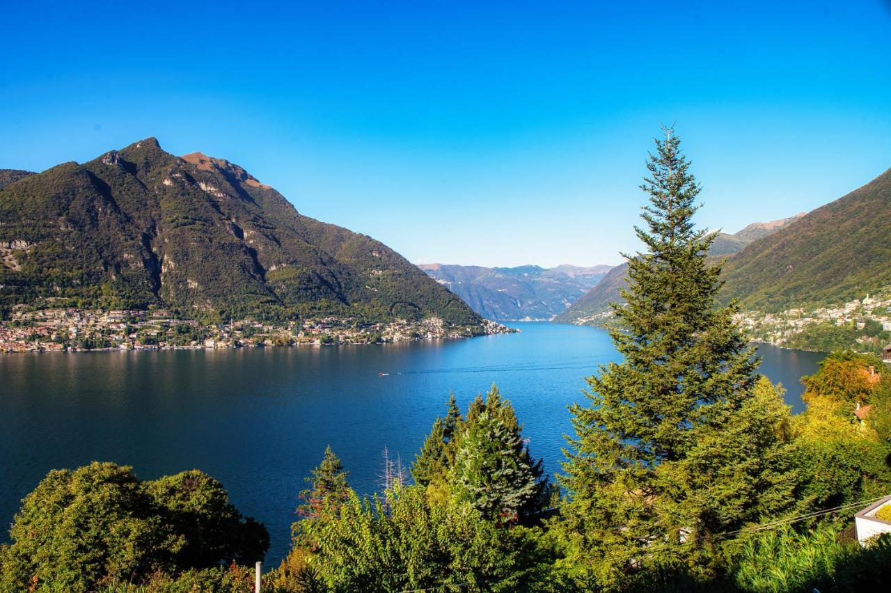 Apartment Blue - By Myhomeincomo Faggeto Lario
