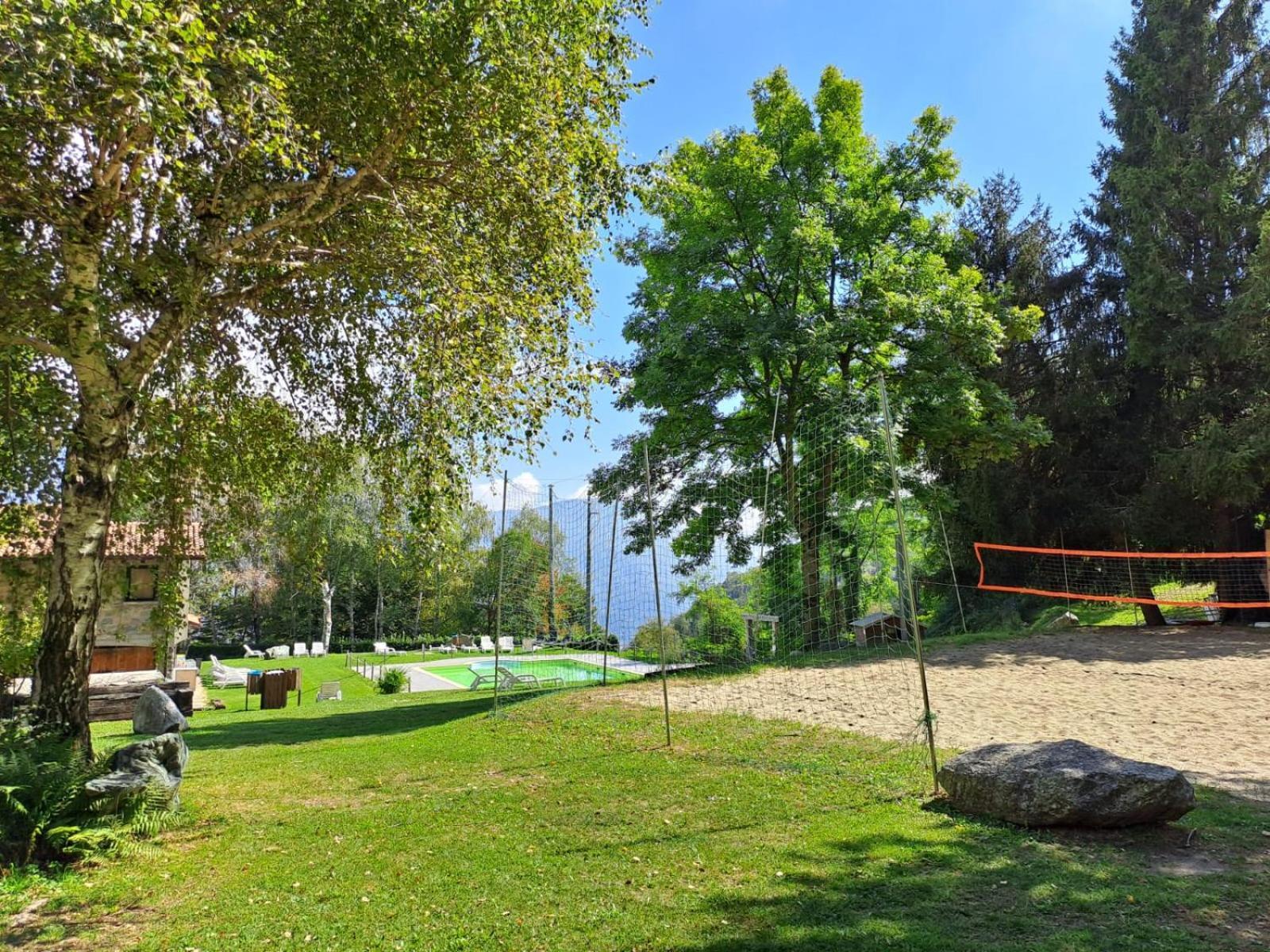 Vista