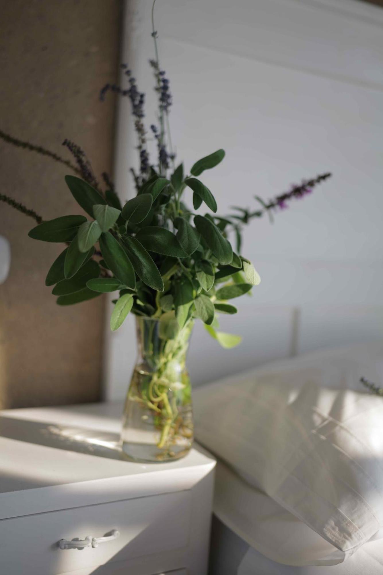 Bed & Breakfast Cascina La Cinciallegra Oggiono