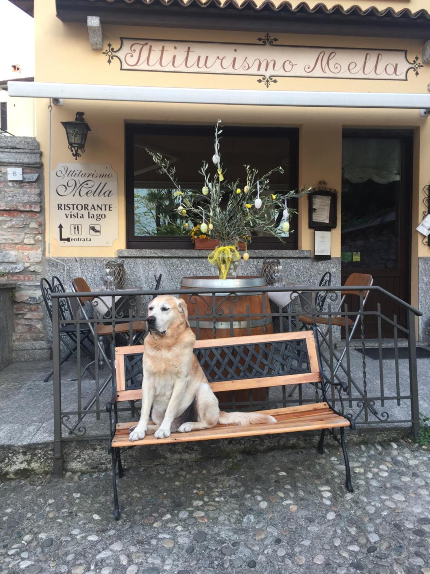 Mella -la Corte - At The With Parking Apartment Bellagio