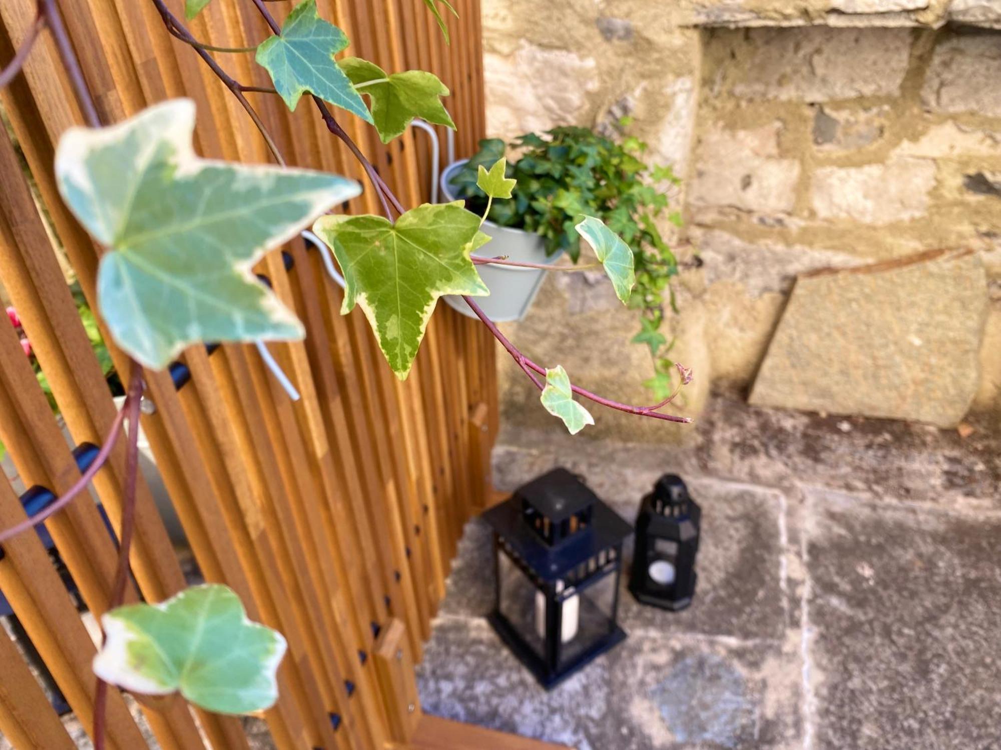 Guest house Chiave Di Volta Lovely With Terrace