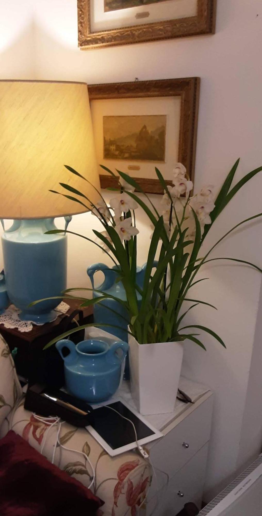 Bed & Breakfast Tosca House 2 *