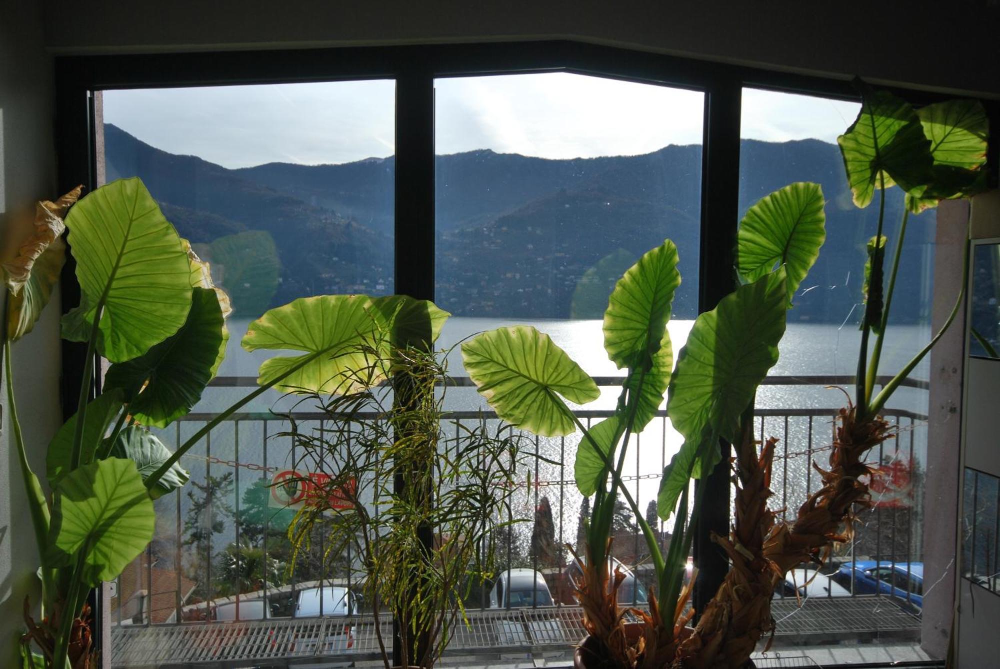 Andrea Olga House Apartment *