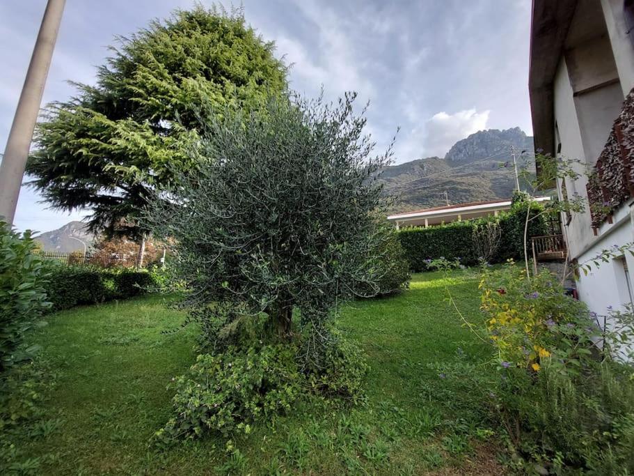 Mandello Panoramico Apartment *
