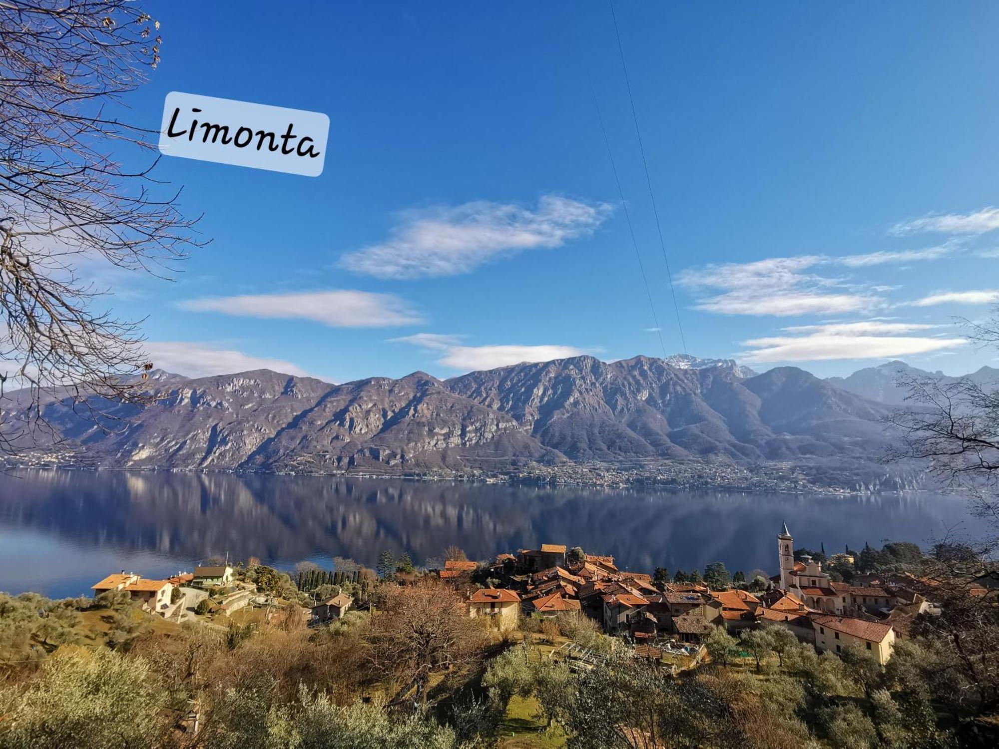 Da Vinci Refuge 2 *
