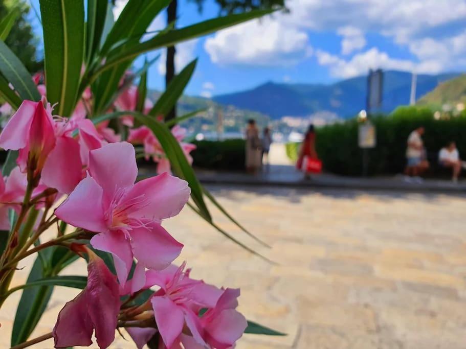Plaza Deluxe Modern Center House - View - Privacy Apartment Como