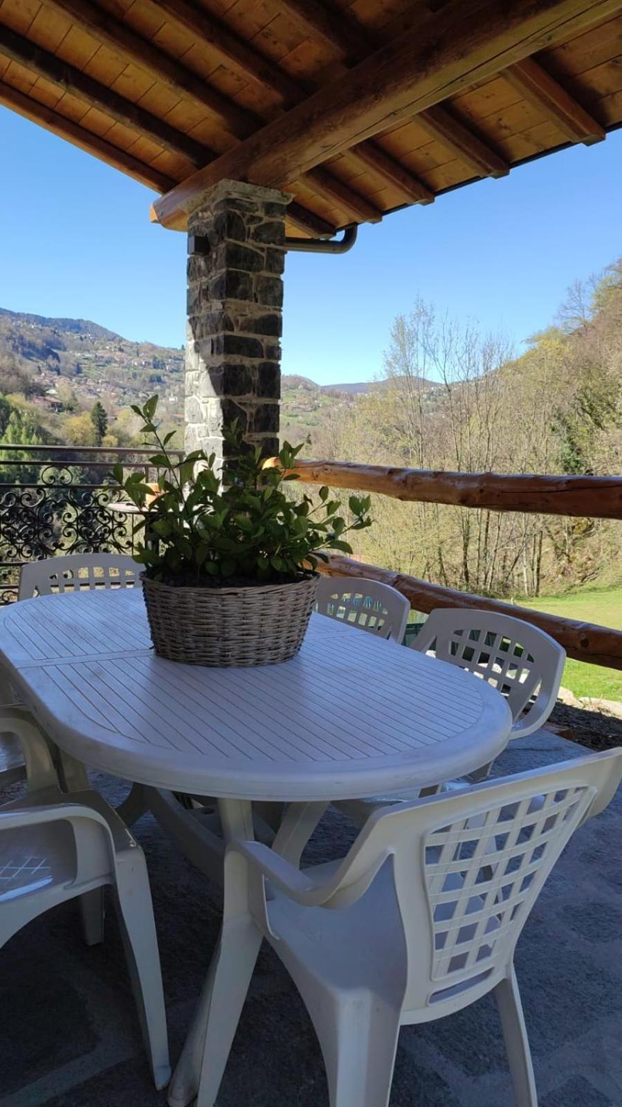 Miele Chalet