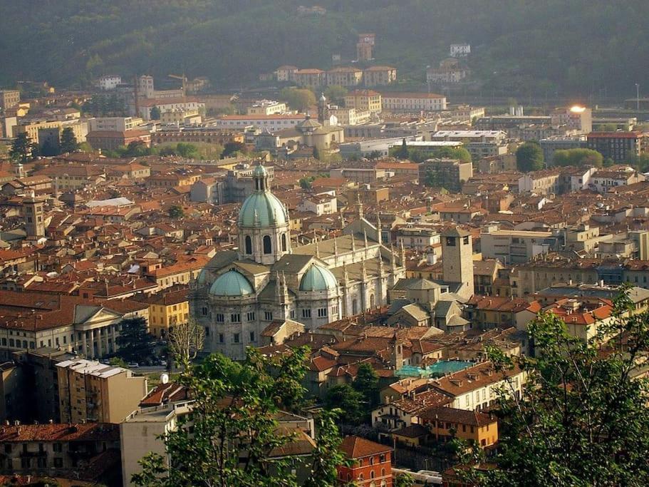 Dama In Center Como