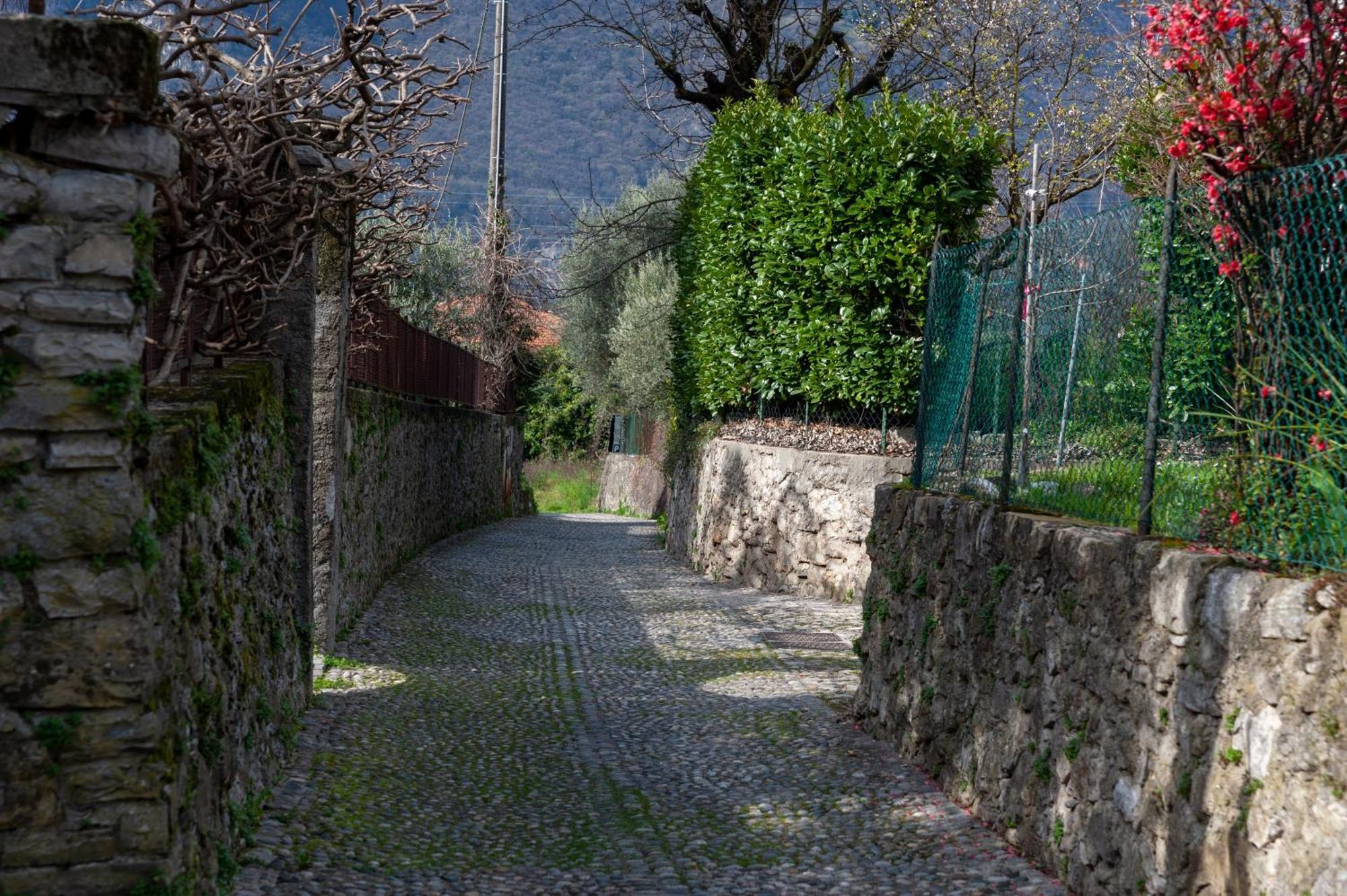 Casa Ilde * Lierna