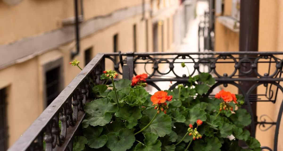 Apartment Russomanno