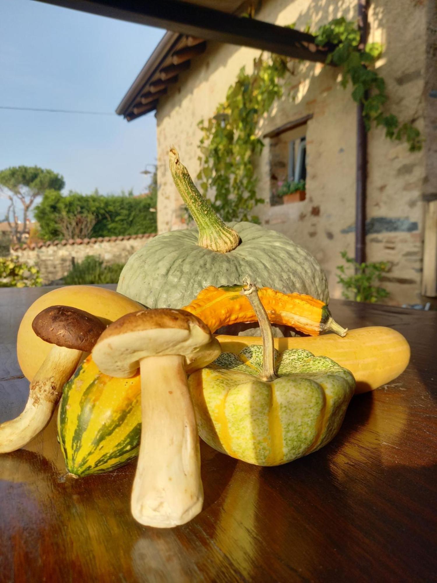 Cascina La Cinciallegra Bed & Breakfast Oggiono