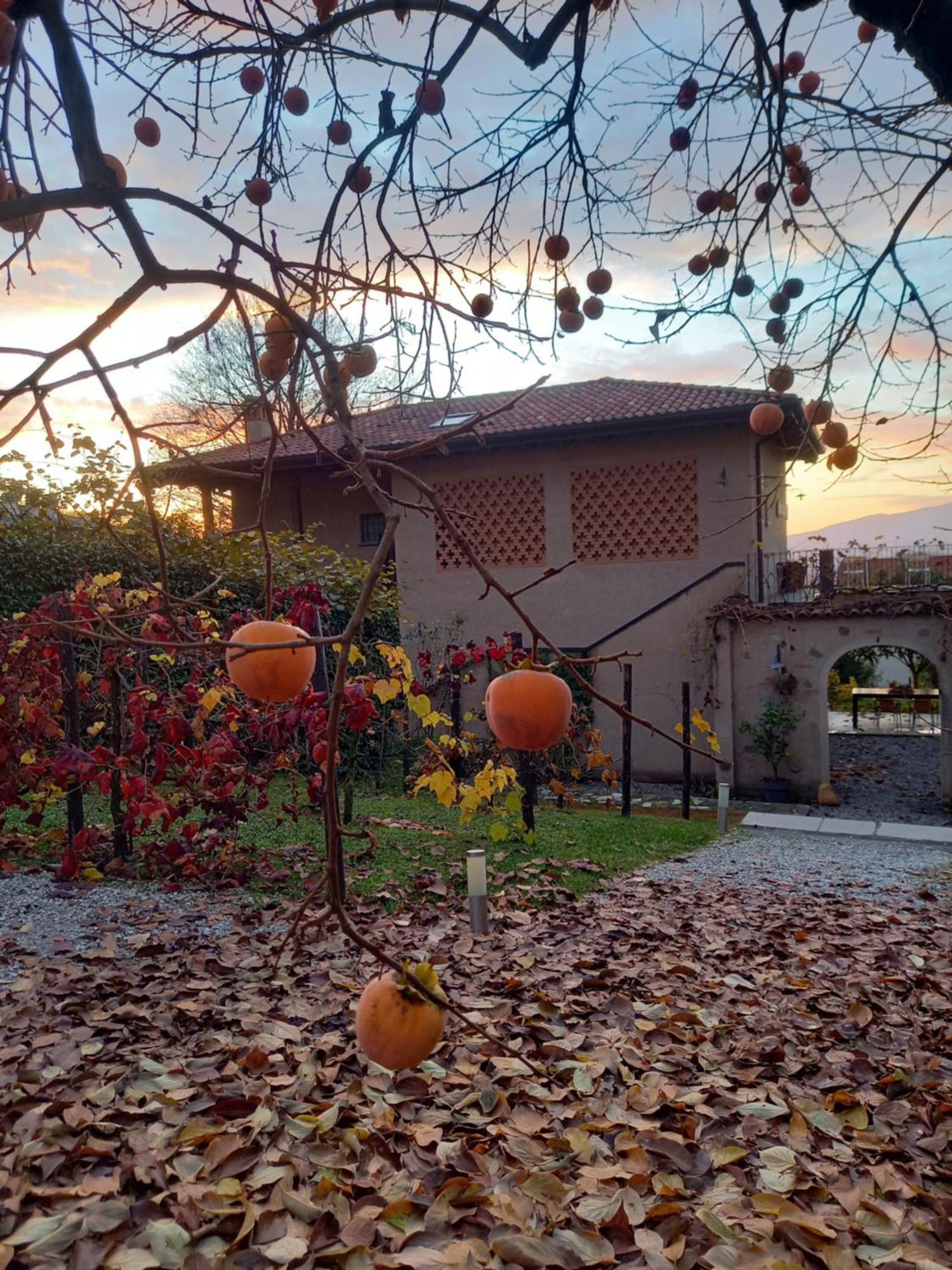 Cascina La Cinciallegra *