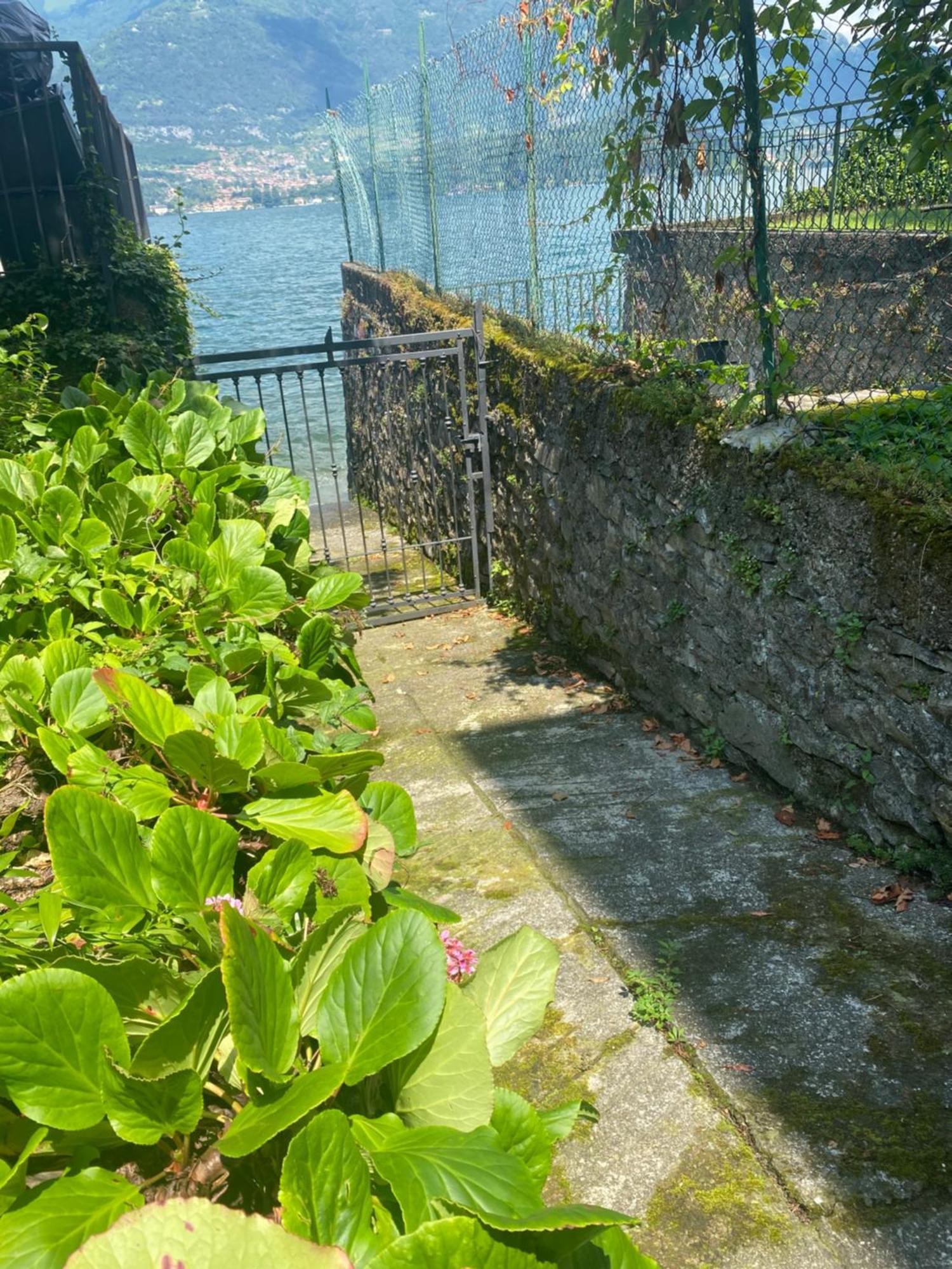 Peonia - Vista Apartment Lezzeno