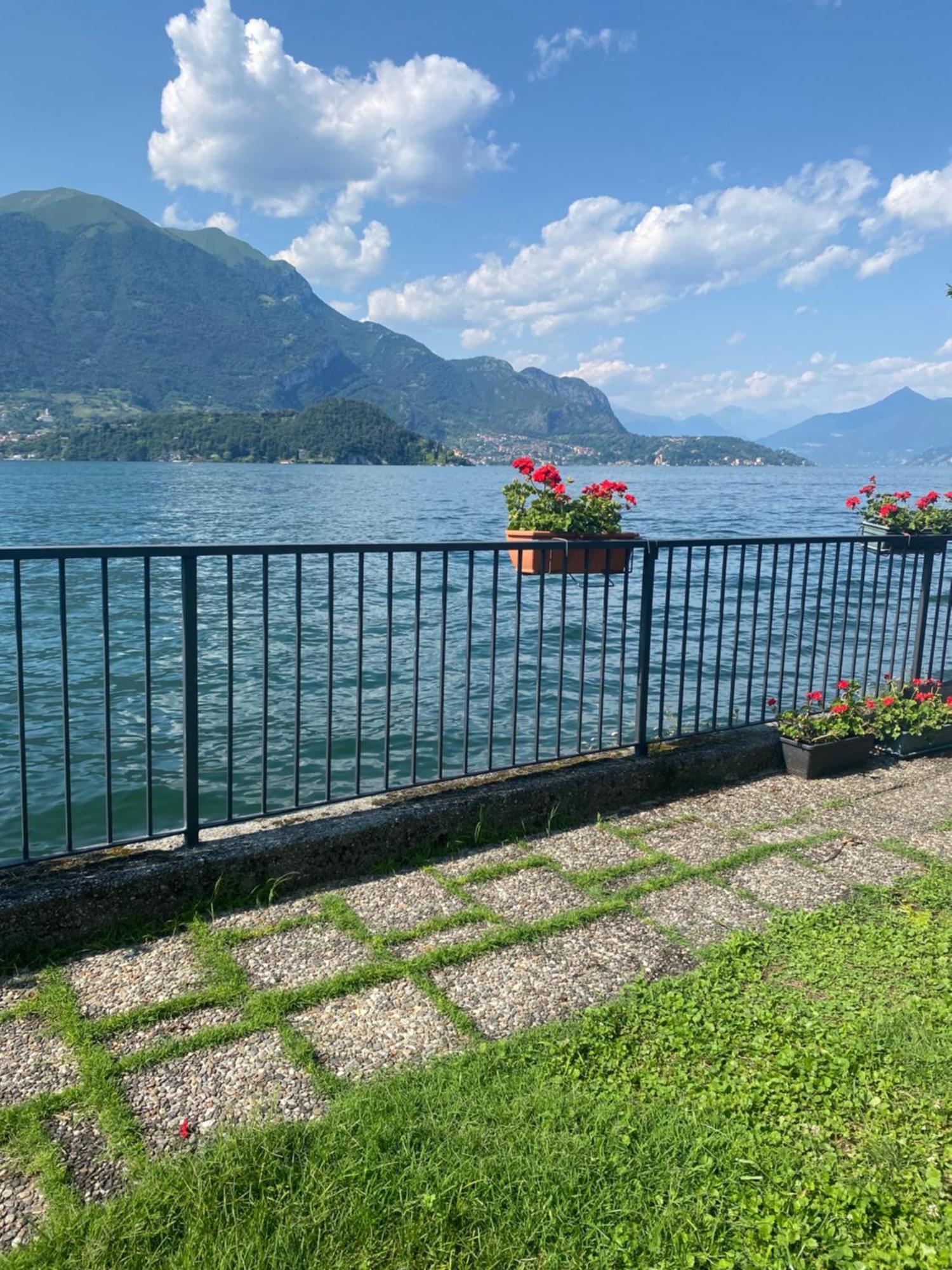 Peonia - Vista Apartment