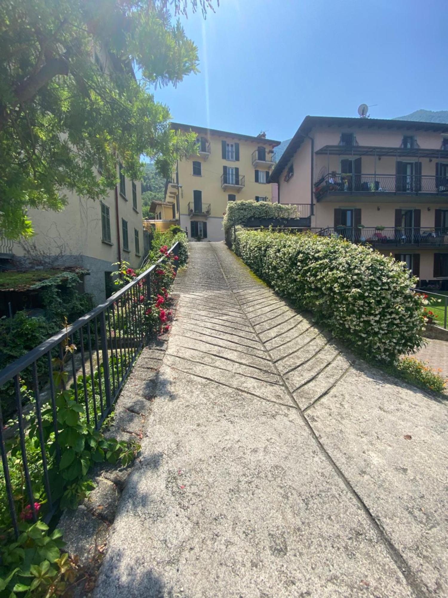 Peonia - Vista Apartment *