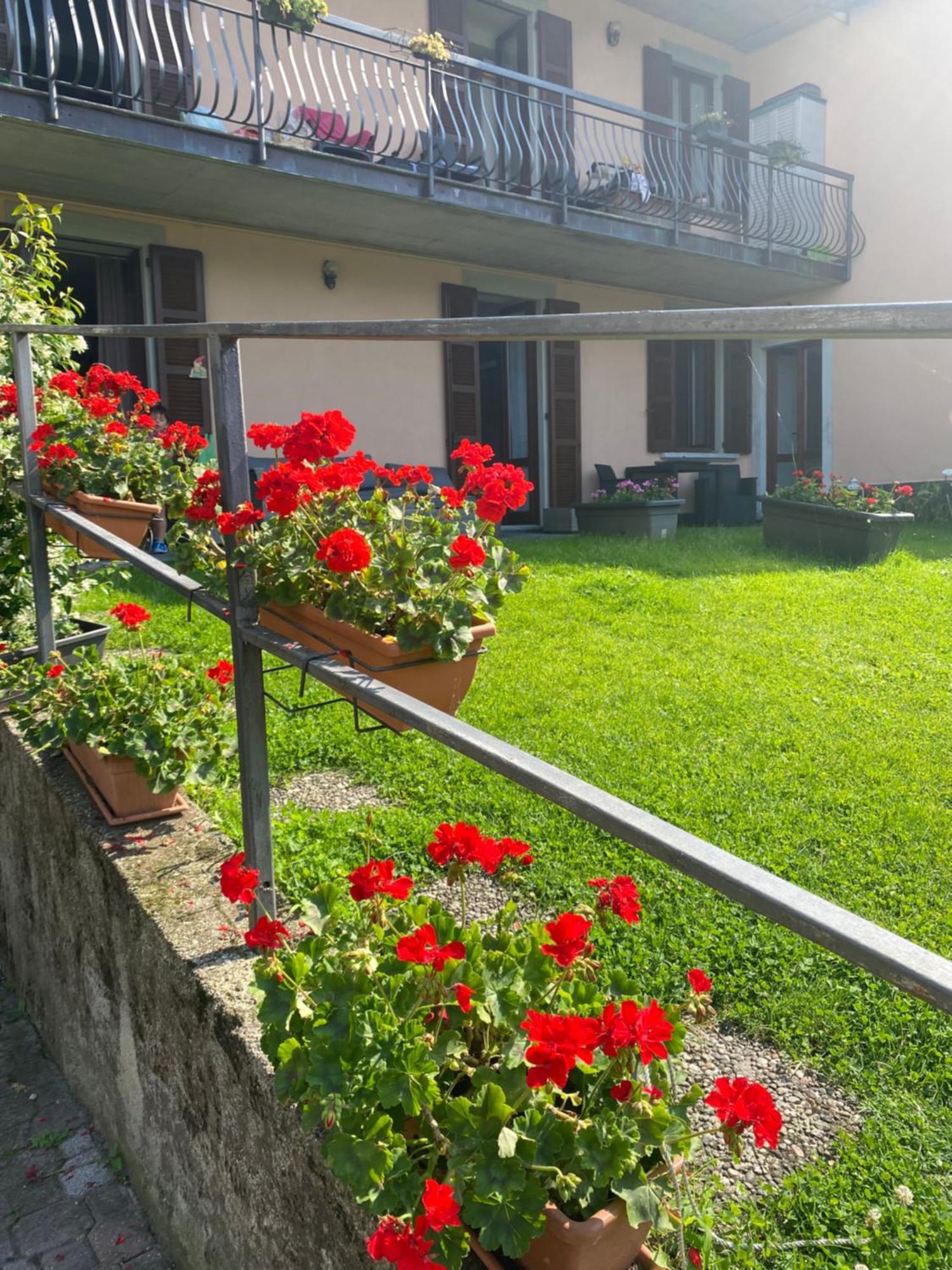 Peonia - Vista Apartment Lezzeno