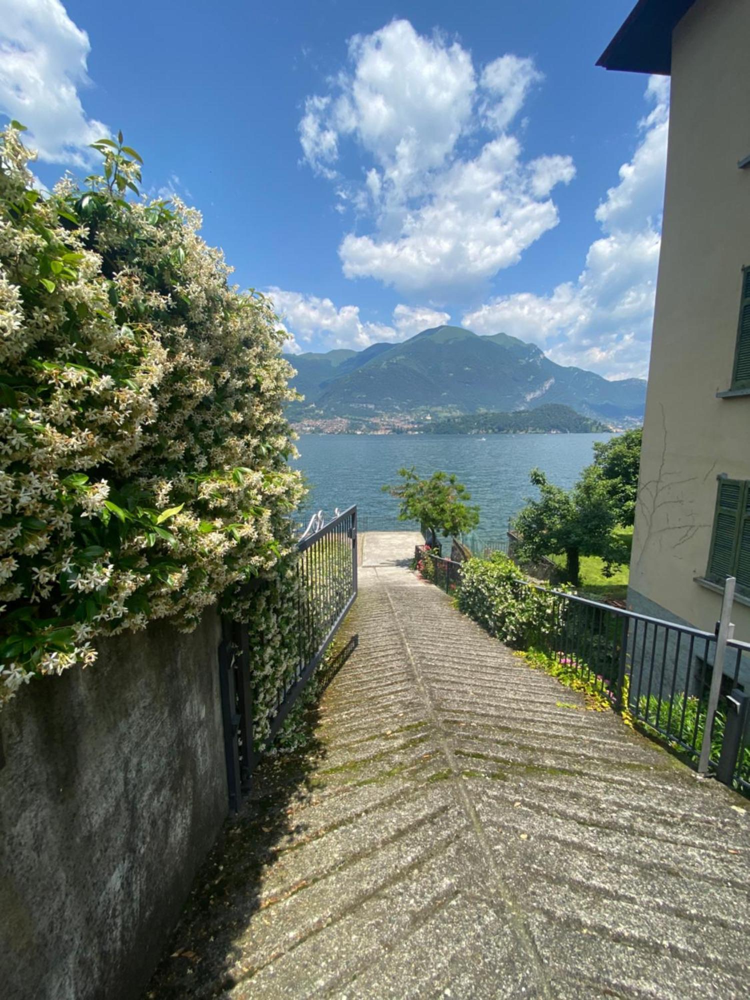 Peonia - Vista Apartment