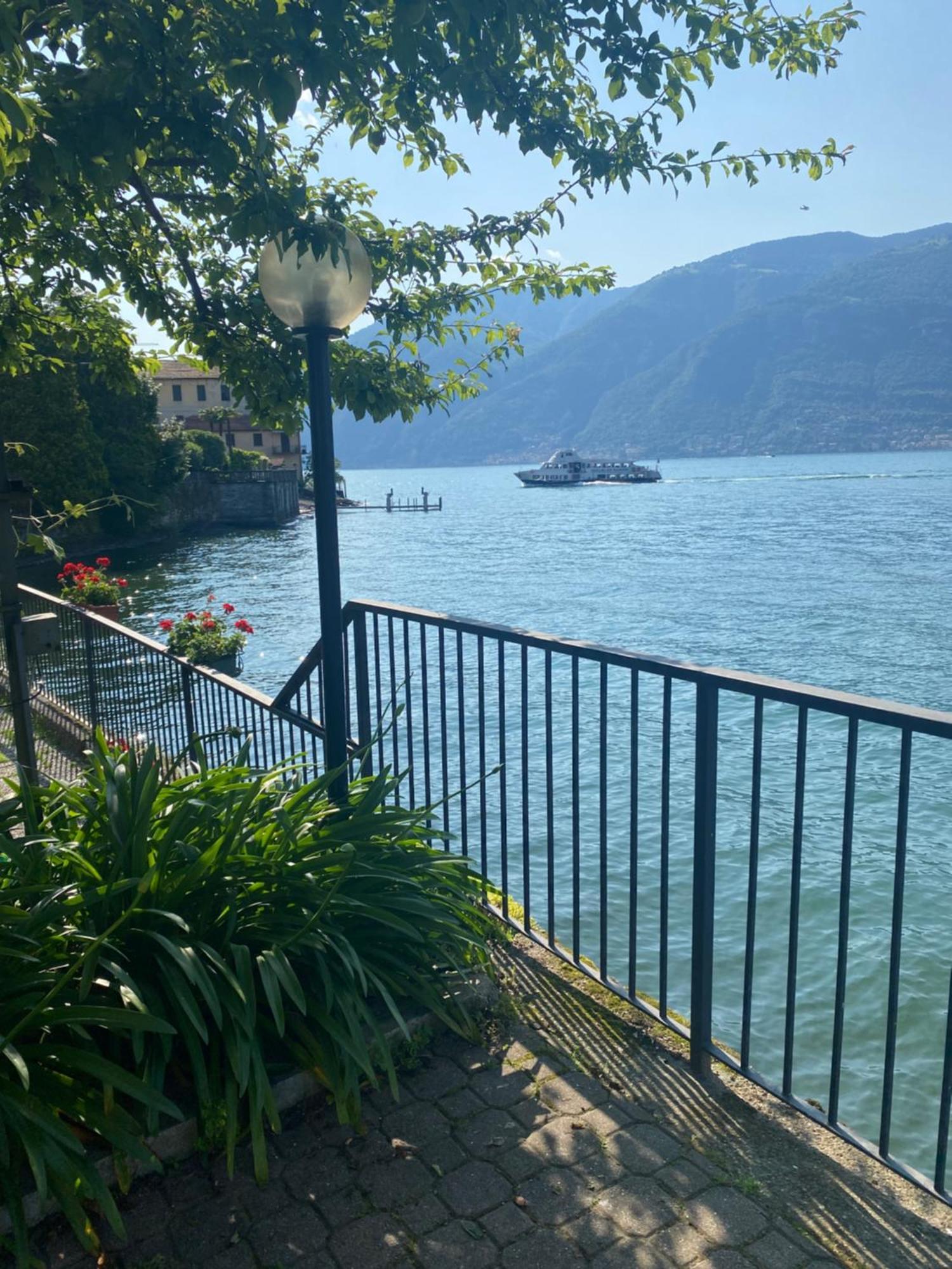 Peonia - Vista Apartment