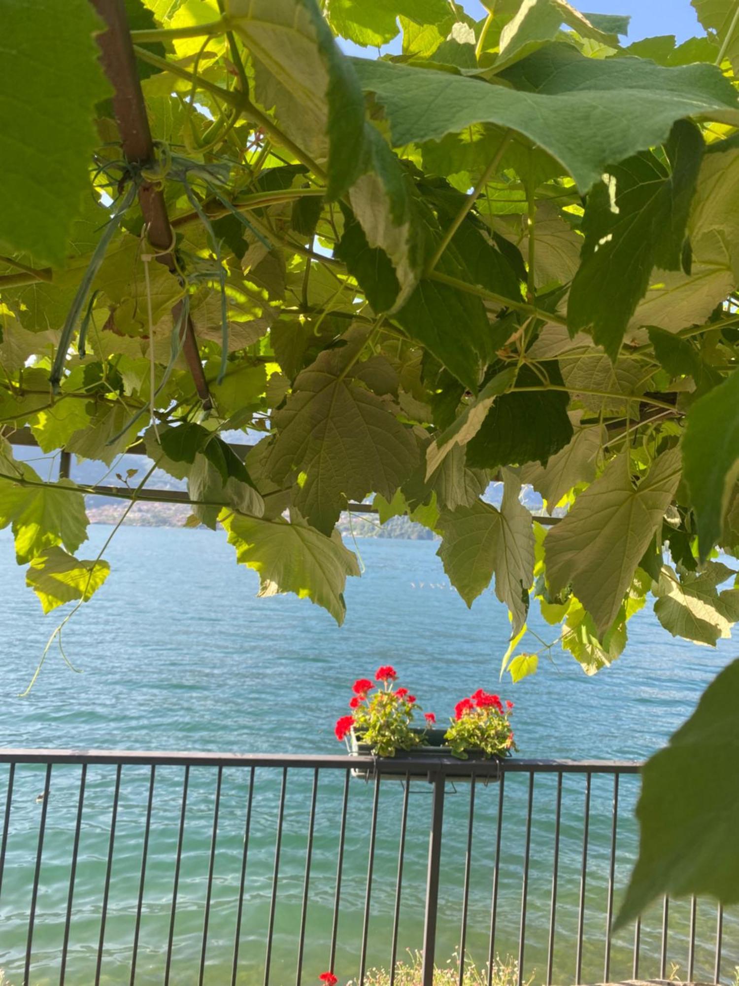 Apartment Peonia - Vista Lezzeno