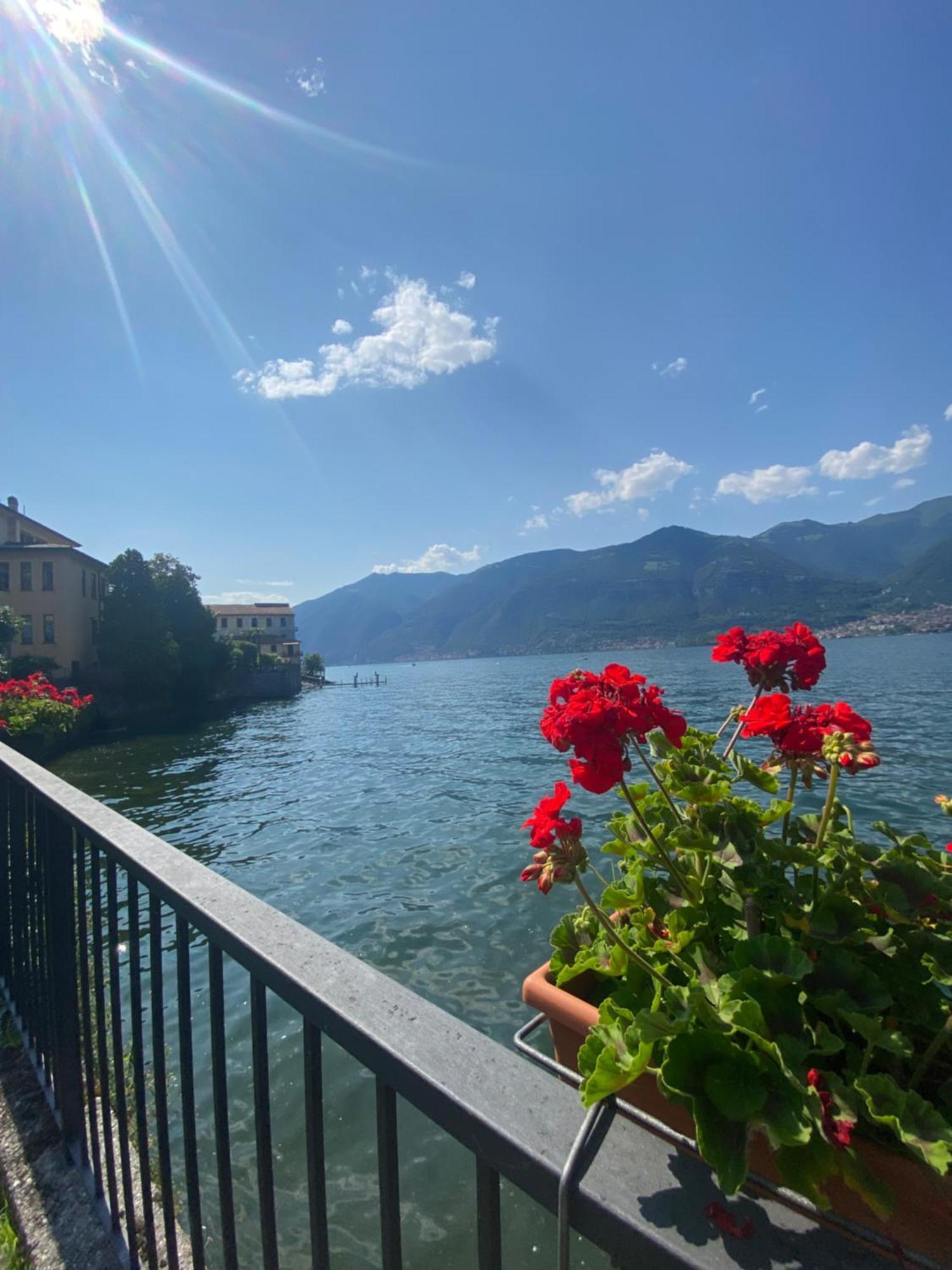 Apartment Peonia - Vista