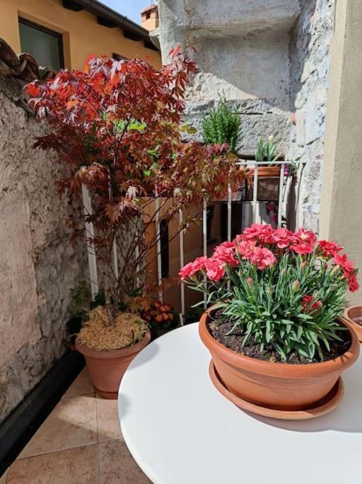 Il Vicolo Agli Orti - Centro Storico - *