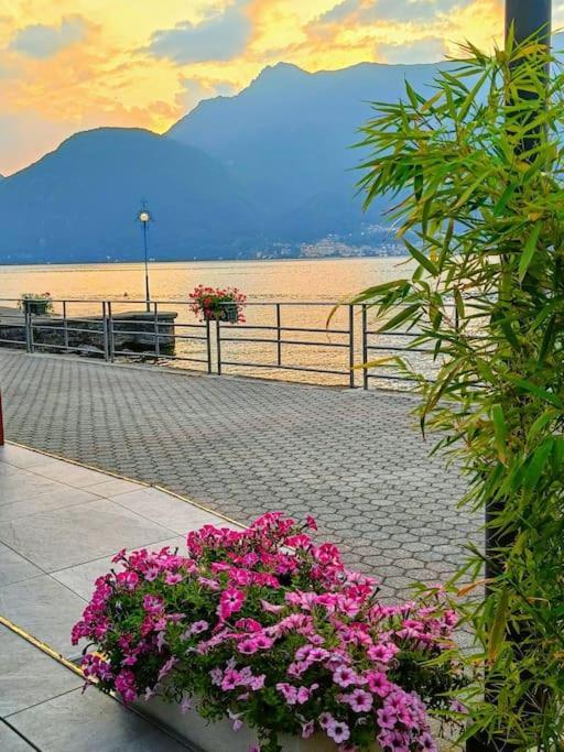 Apartment Il Vicolo Agli Orti - Centro Storico -