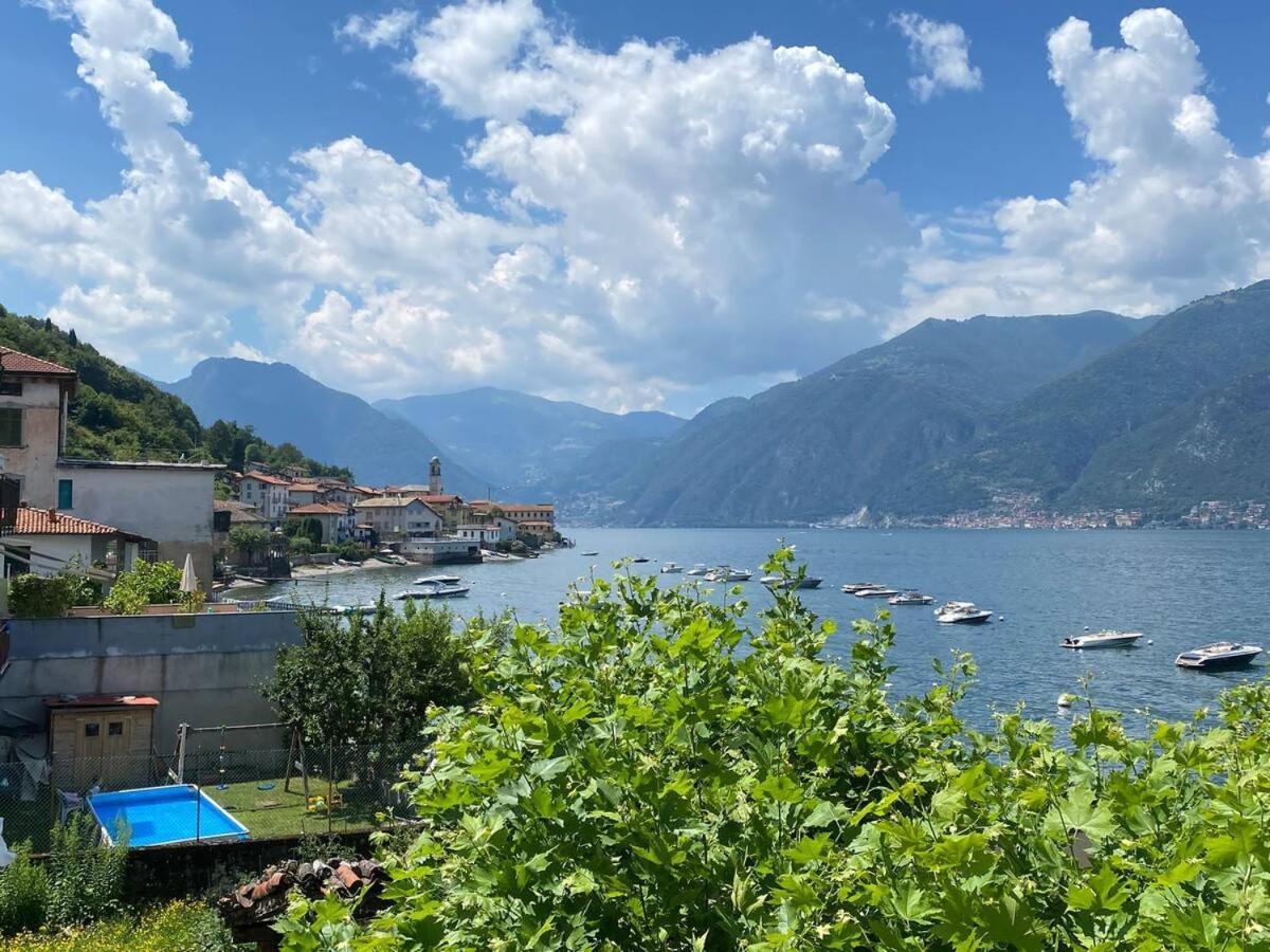 La Finestra Sul * Lezzeno