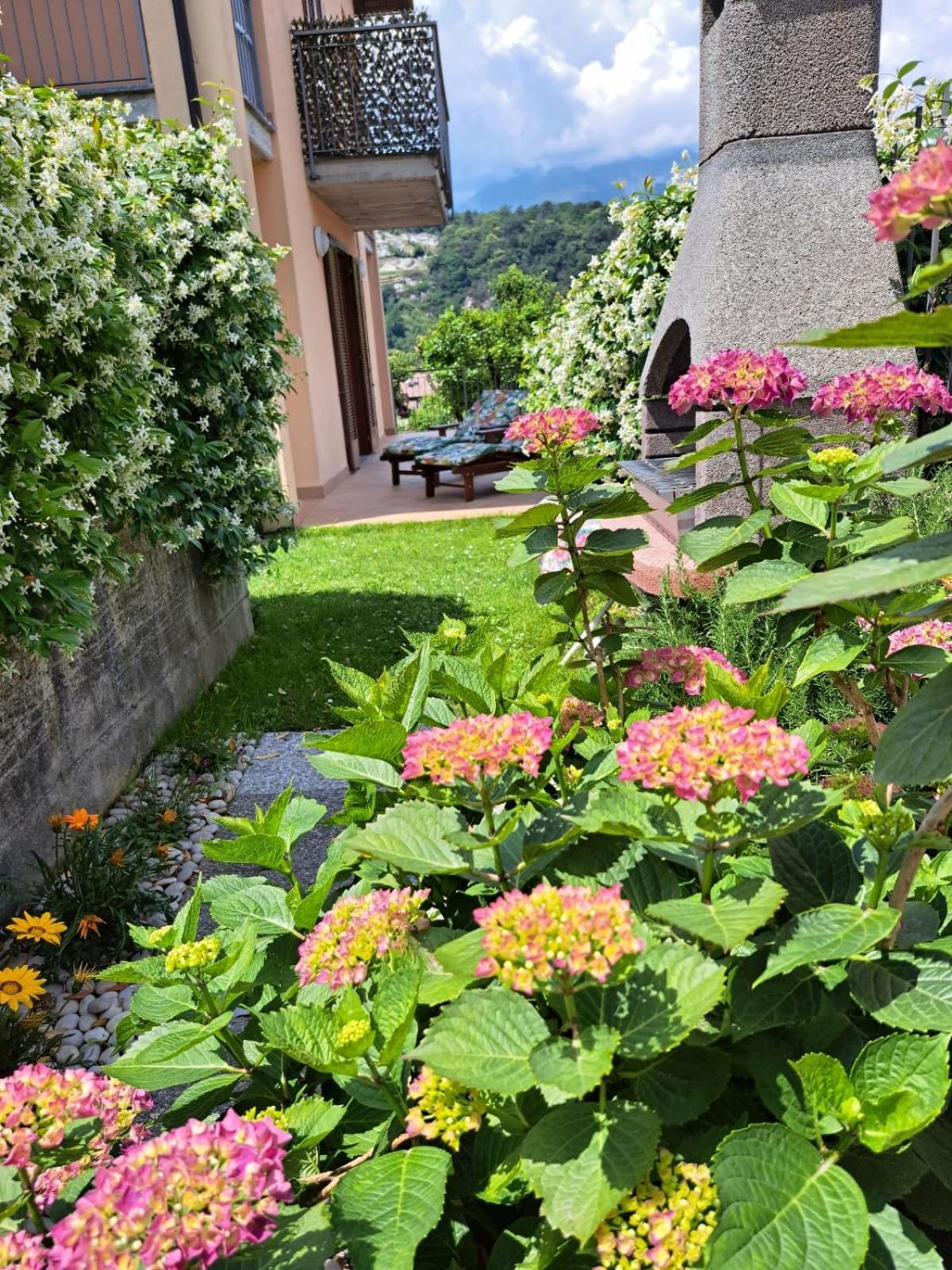 Madonnina Terrace E Garden Apartment *
