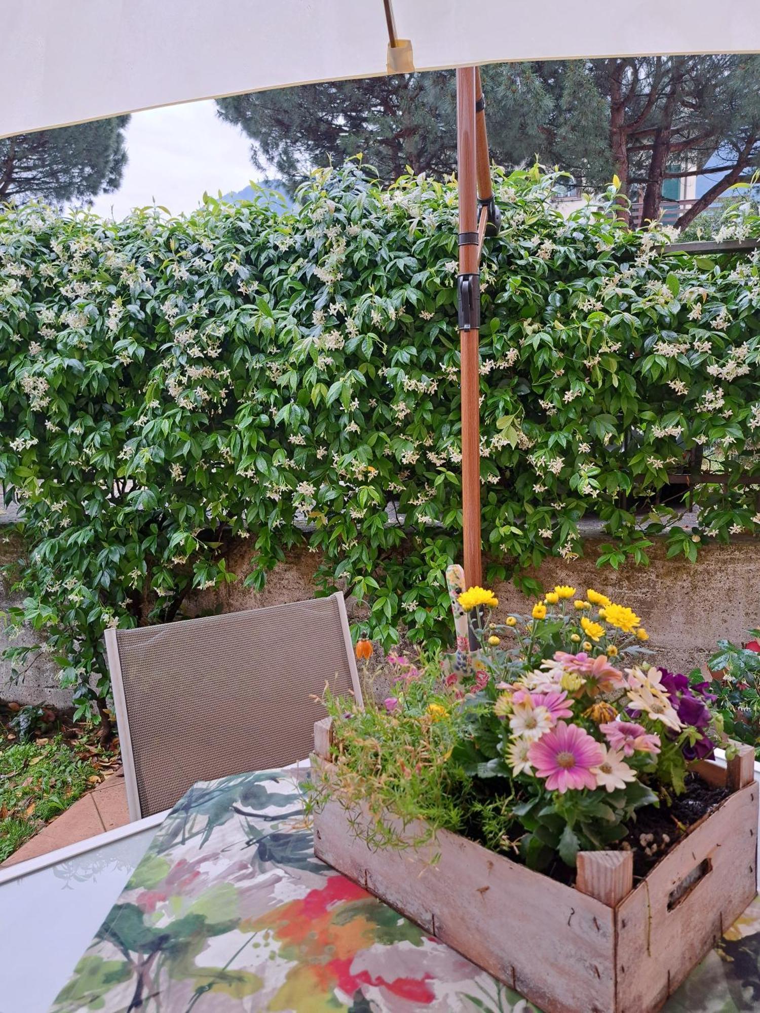 Apartment Madonnina Terrace E Garden Colico