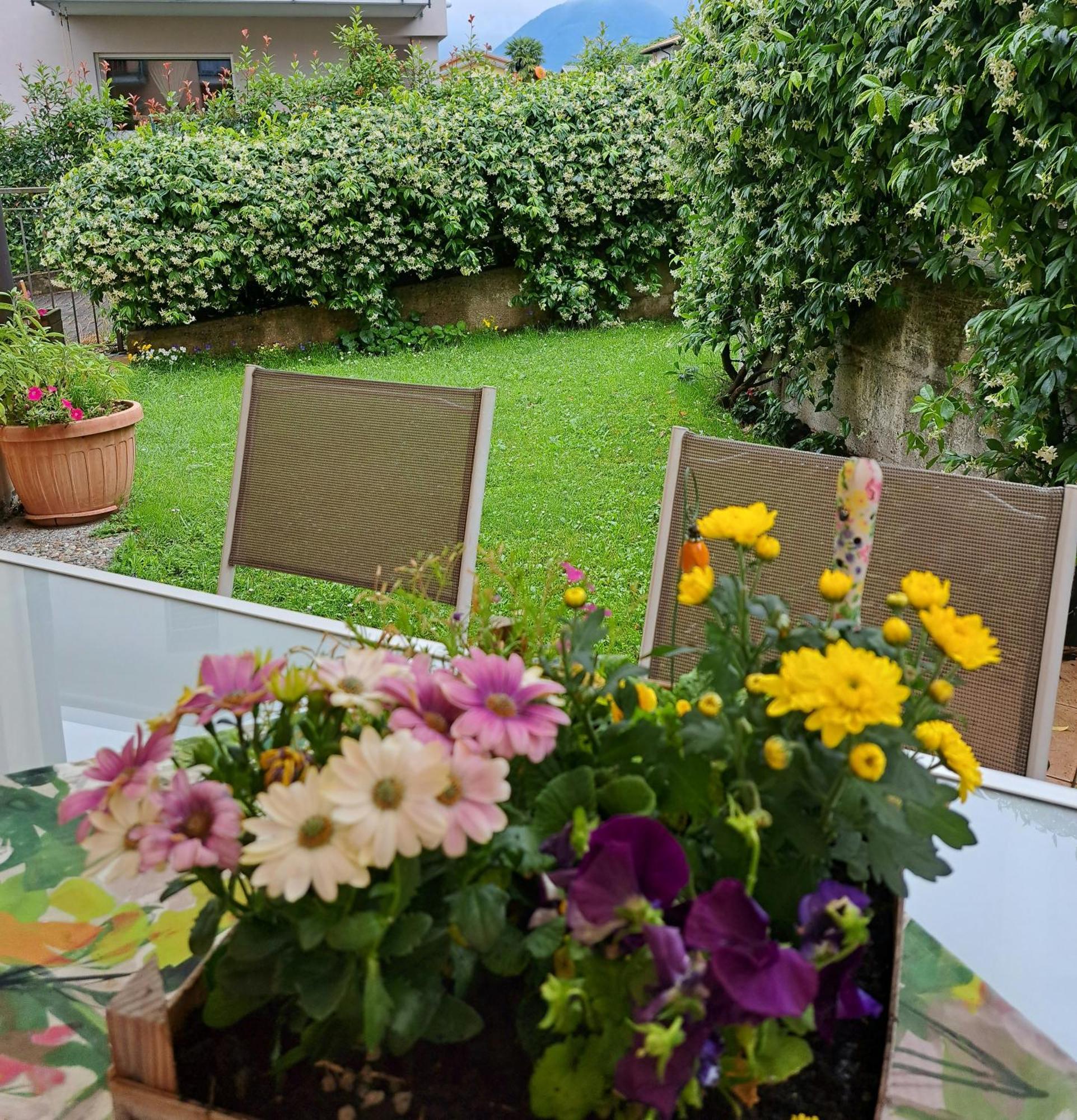 Apartment Madonnina Terrace E Garden