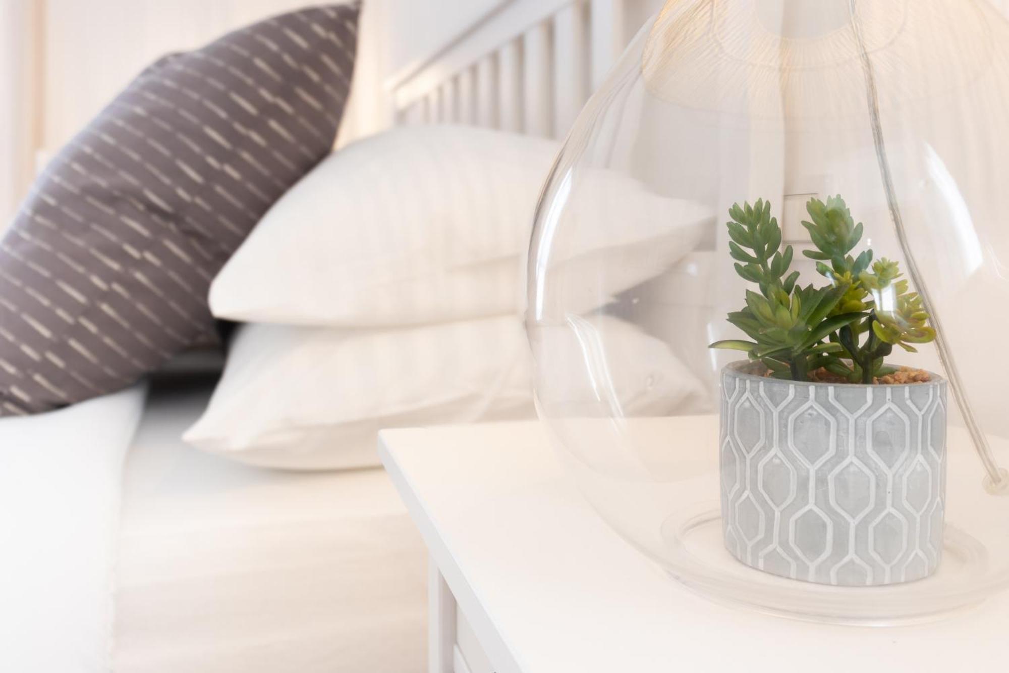 Apartment Dream In *