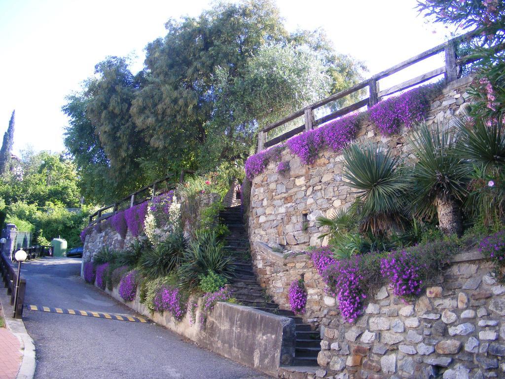 Laguna