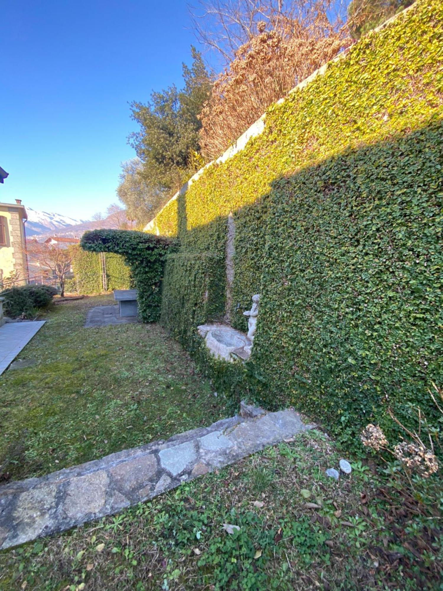 La Breva Del Lago