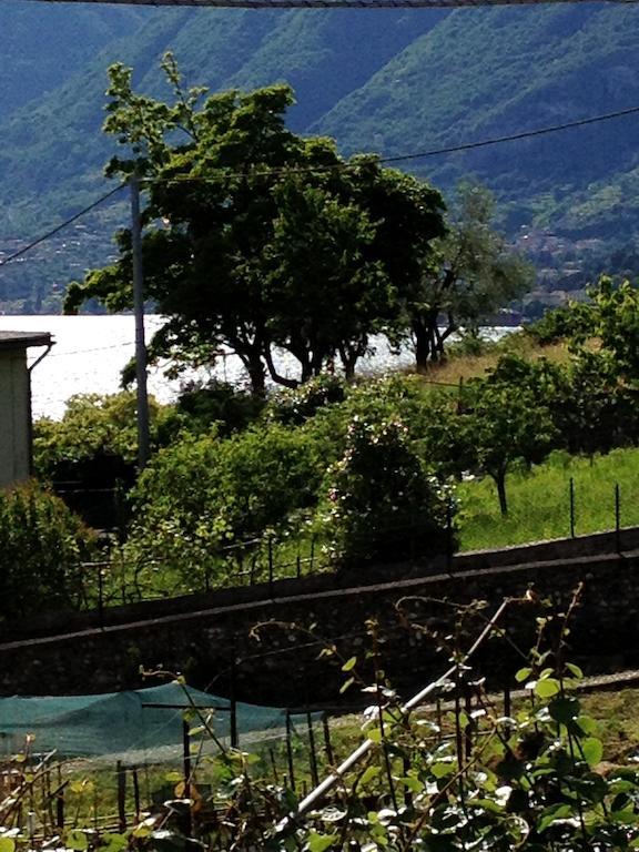 Apartment Lago Di Como Appartamento Mary