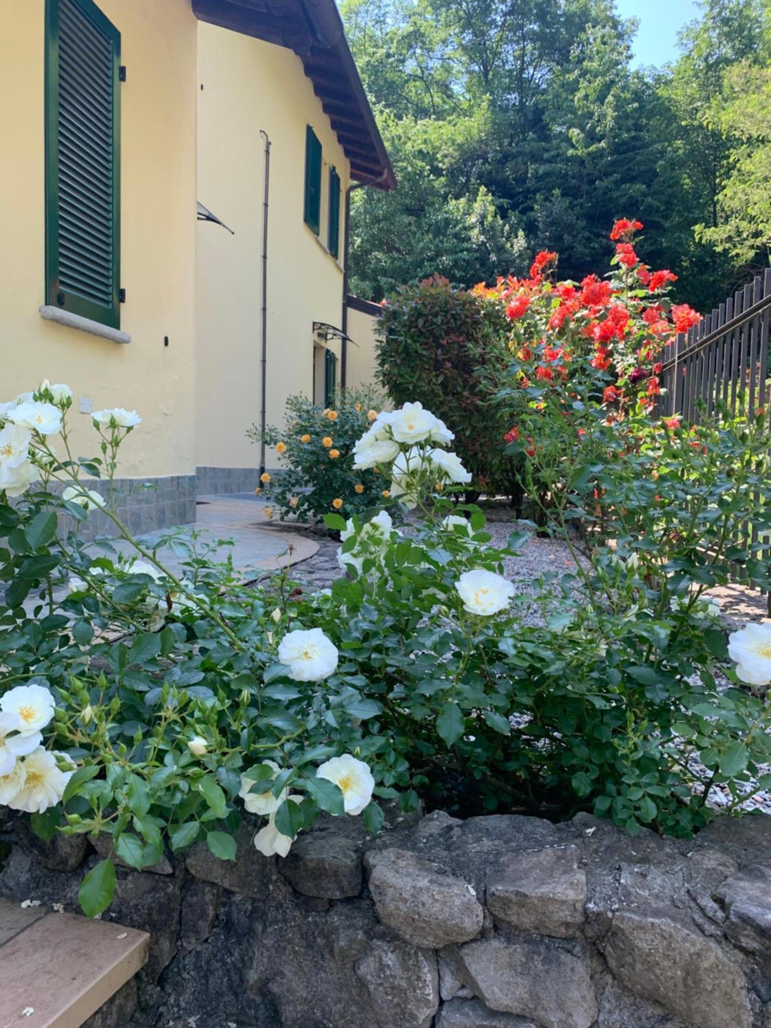 Apartment Oliveto