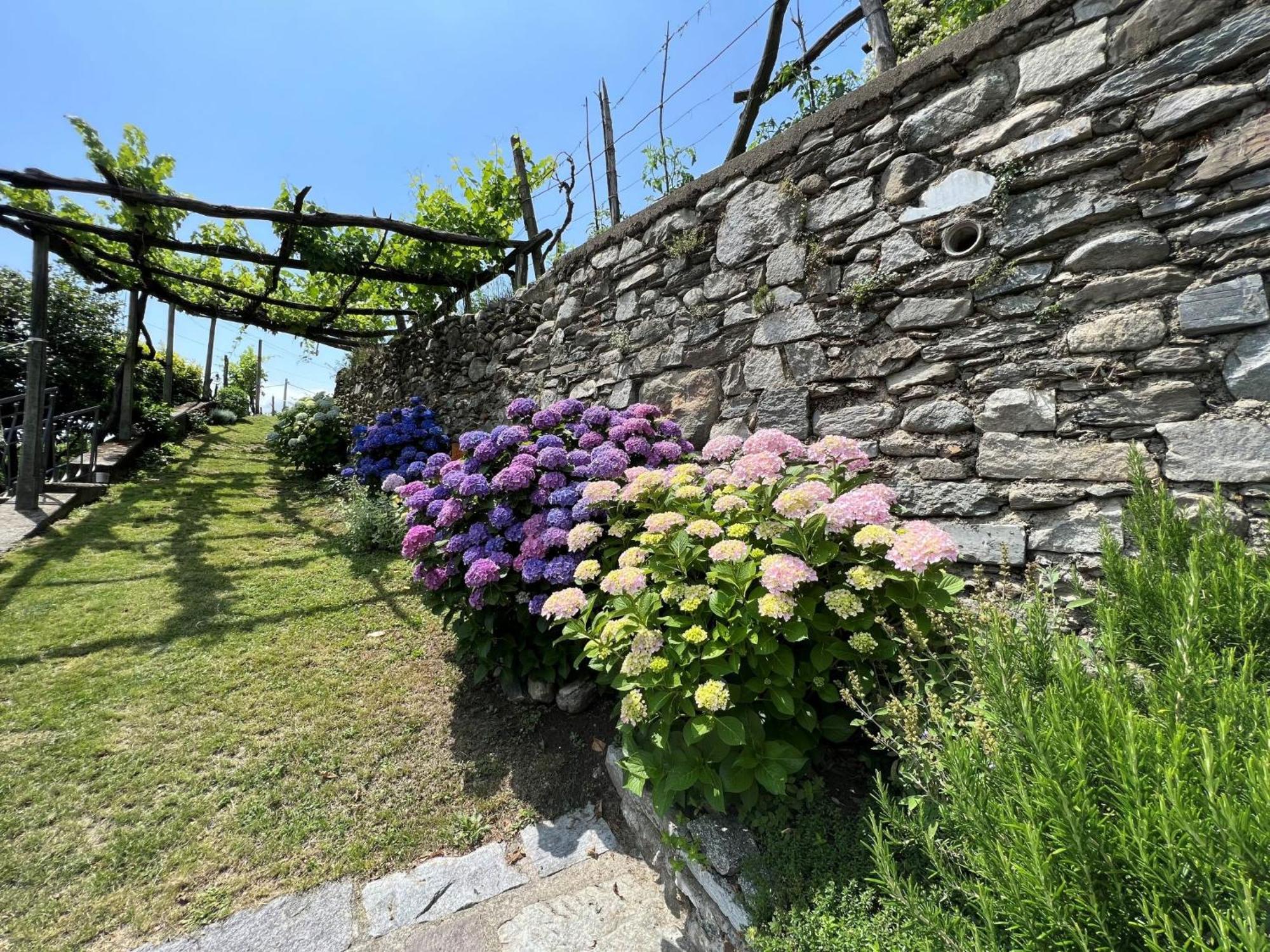 Locazione Turistica Nonna Nina